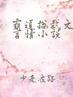 霸道总裁文现代言情小说