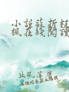 小说苏折枝裴诀枫在线阅读