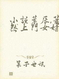 小说叶辰,萧初然上门女婿