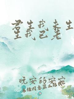 君生我未生,君生我已老