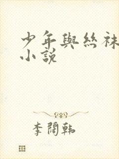 少年与丝袜熟女小说