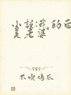 小说:我的白富美老婆