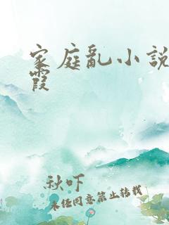 家庭乱小说王丽霞