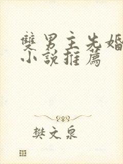 双男主先婚后爱小说推荐