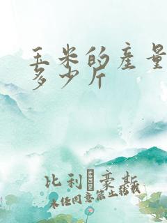 玉米的产量每亩多少斤