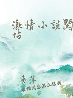 激情小说阅读网站