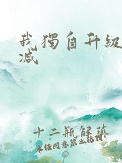 我独自升级无删减