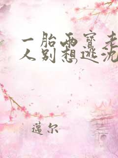 一胎两宝老婆大人别想逃沈蔓歌有几个孩子