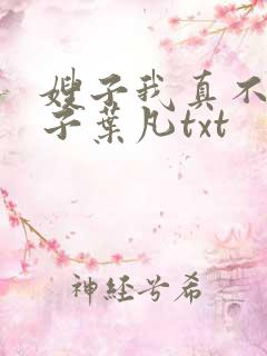 嫂子我真不是傻子叶凡txt