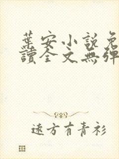 叶安小说免费阅读全文无弹窗