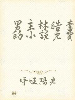 男主林皓李静怡的小说免费