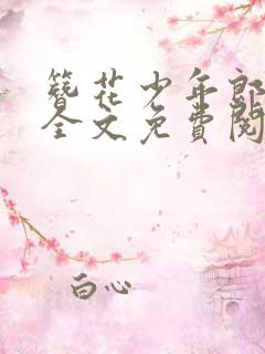 簪花少年郎小说全文免费阅读空留