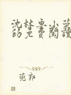 沈林鲁小荣小说的免费阅读