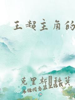 王超主角的小说