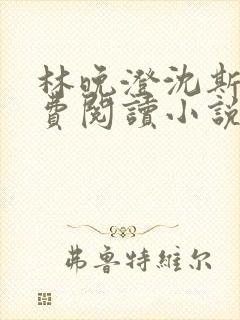 林晚澄沈斯宸免费阅读小说