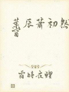 叶辰萧初然无弹窗