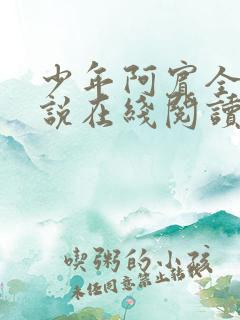 少年阿宾全文小说在线阅读
