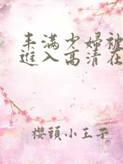 丰满少妇被猛烈进入高清在线观看
