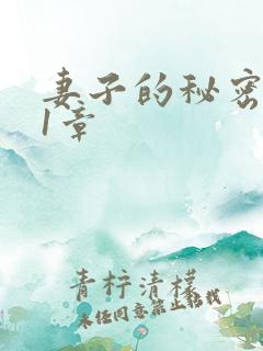 妻子的秘密 第1章