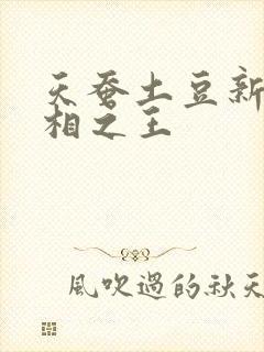 天蚕土豆新作万相之王