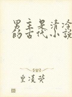 男主是清冷将军的古代小说