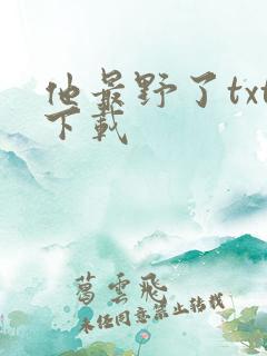 他最野了txt下载