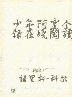 少年阿宾全文目录在线阅读