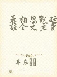 聂相思战廷深小说全文免费阅读