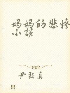 妈妈的悲惨人生小说