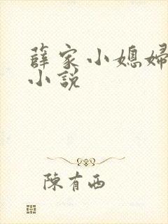 薛家小媳妇全部小说