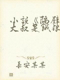 小说《隔壁机长大叔是饿狼》