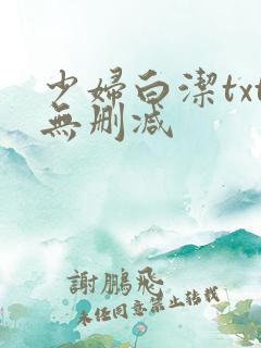 少妇白洁txt无删减