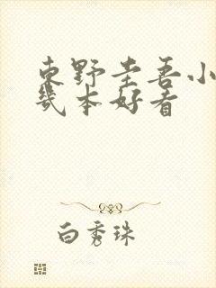 东野圭吾小说哪几本好看