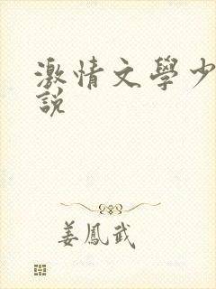 激情文学少妇小说