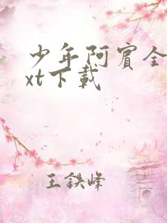 少年阿宾全本txt下载