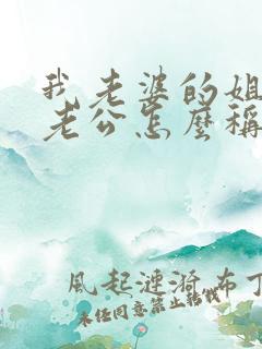 我老婆的姐姐的老公怎么称呼