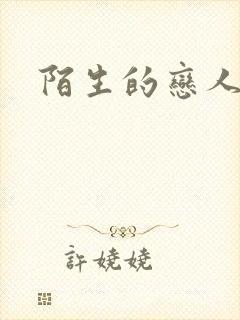 陌生的恋人小说