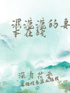 湿漉漉的妻子日本在线