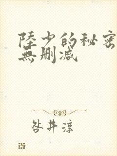 陆少的秘密恋人无删减