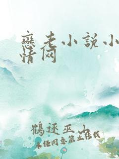 恋老小说小说言情网