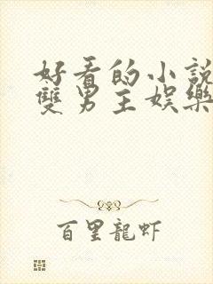 好看的小说推荐双男主娱乐圈