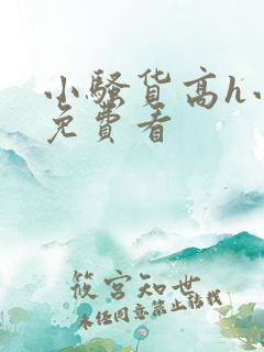小骚货高h小说免费看