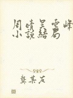 周晴吴云峰李磊小说结局