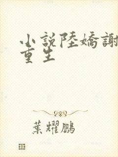 小说陆娇谢云瑾重生