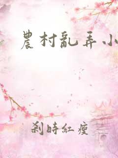 农村乱弄小说