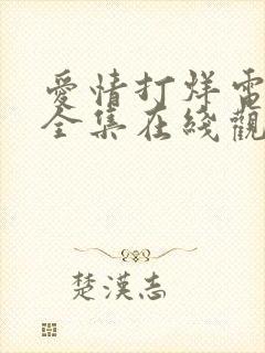 爱情打烊电视剧全集在线观看免费