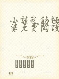 小说我的极品老婆免费阅读全文
