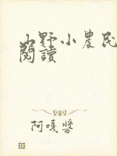 山野小农民小说阅读