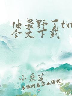 他最野了txt全文下载