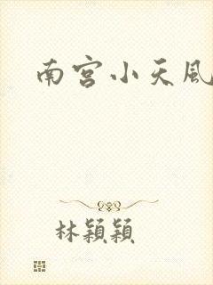 南宫小天风流史